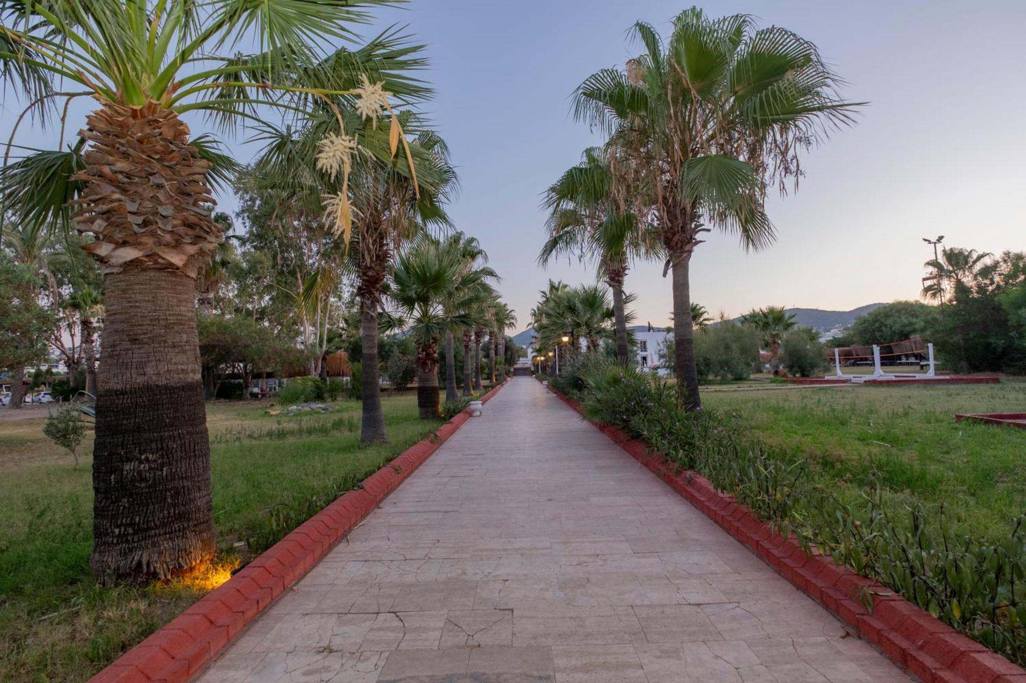 Ladonia Hotels Del Mare (Adults Only) Gümbet Exterior foto